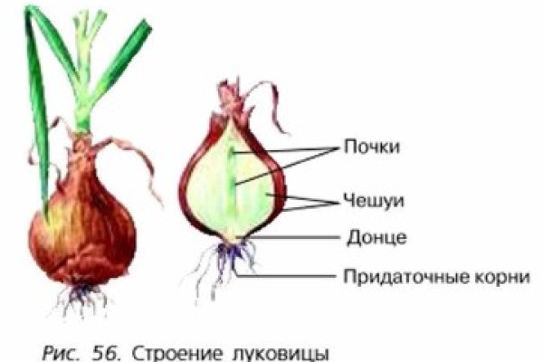 Кракен без впн